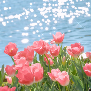 黄色一没片日子裸体少女接磨
